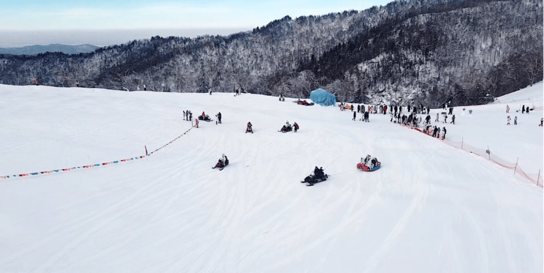 高山雪域极速越野，跨越冰雪的速度狂欢的简单介绍
