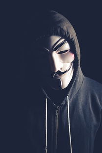 爱游戏体育电竞娱乐-弗朗索瓦·斯图尔特：出色的进攻组织者，带领南非队稳步向前，弗朗索瓦莱特瑞尔